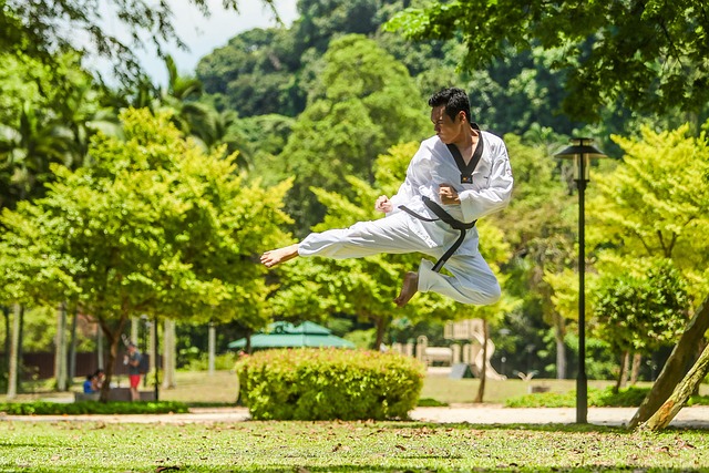 cerita silat atau cersil