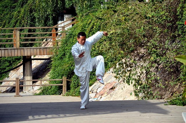 kung fu movie