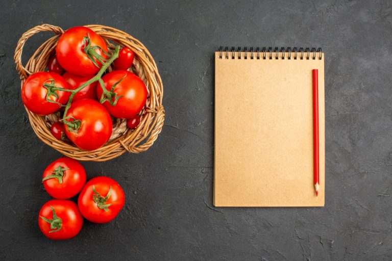 Teknik Pomodoro, Cara Jitu Bantu Konsentrasi Belajar! - WonderMind